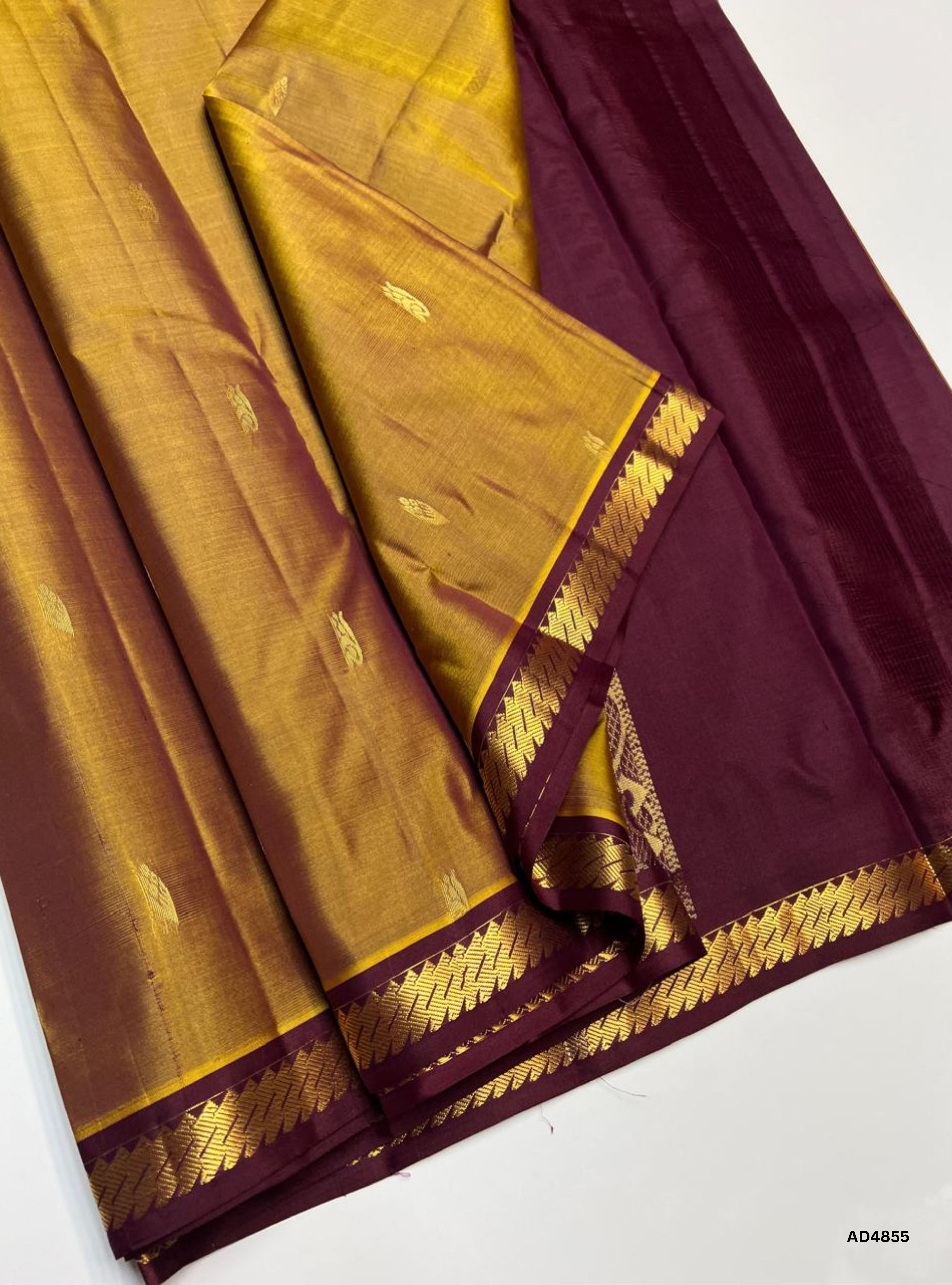 Golden Brown & Plum - Kanchi Border Soft Silk Saree