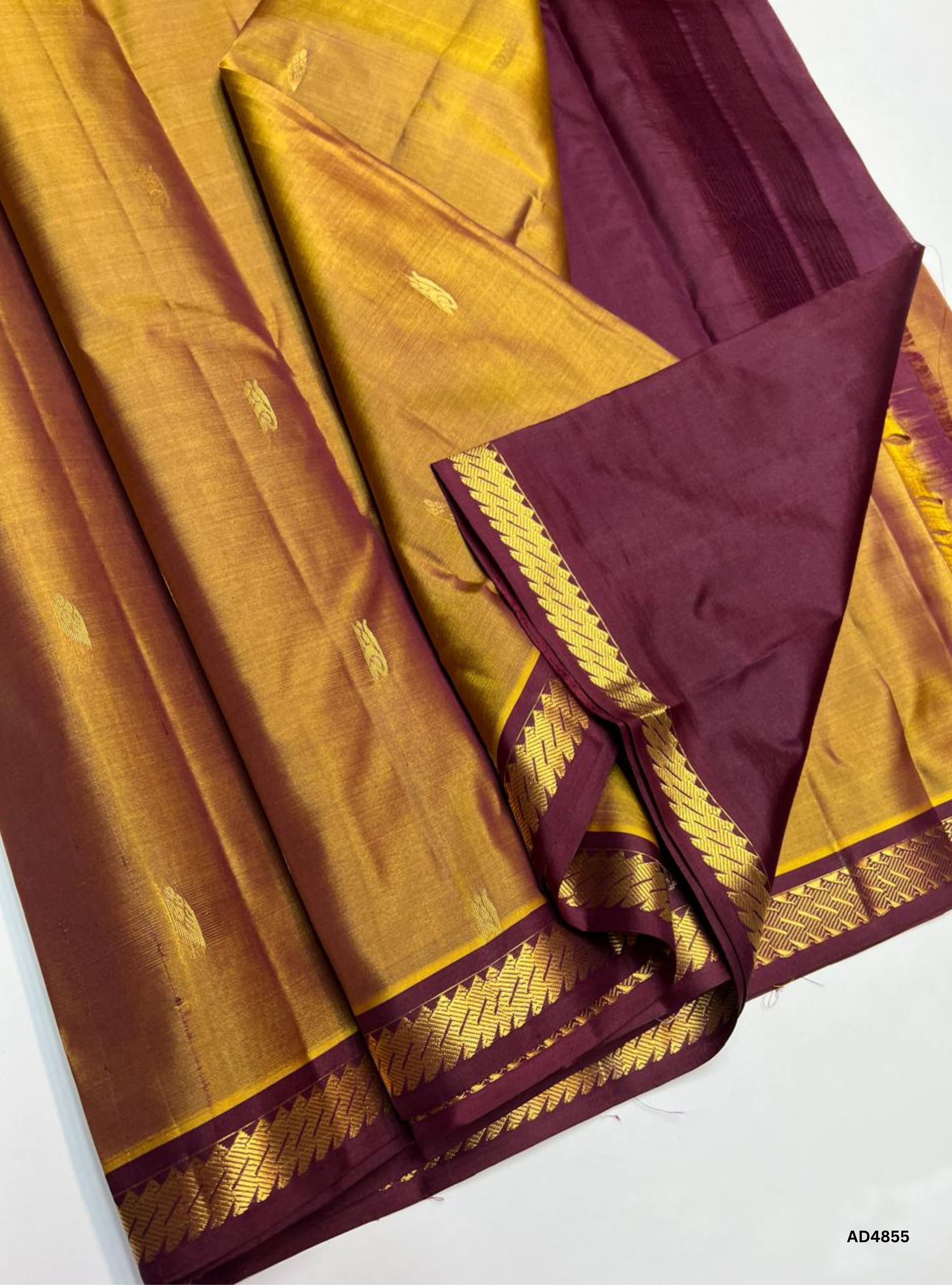 Golden Brown & Plum - Kanchi Border Soft Silk Saree