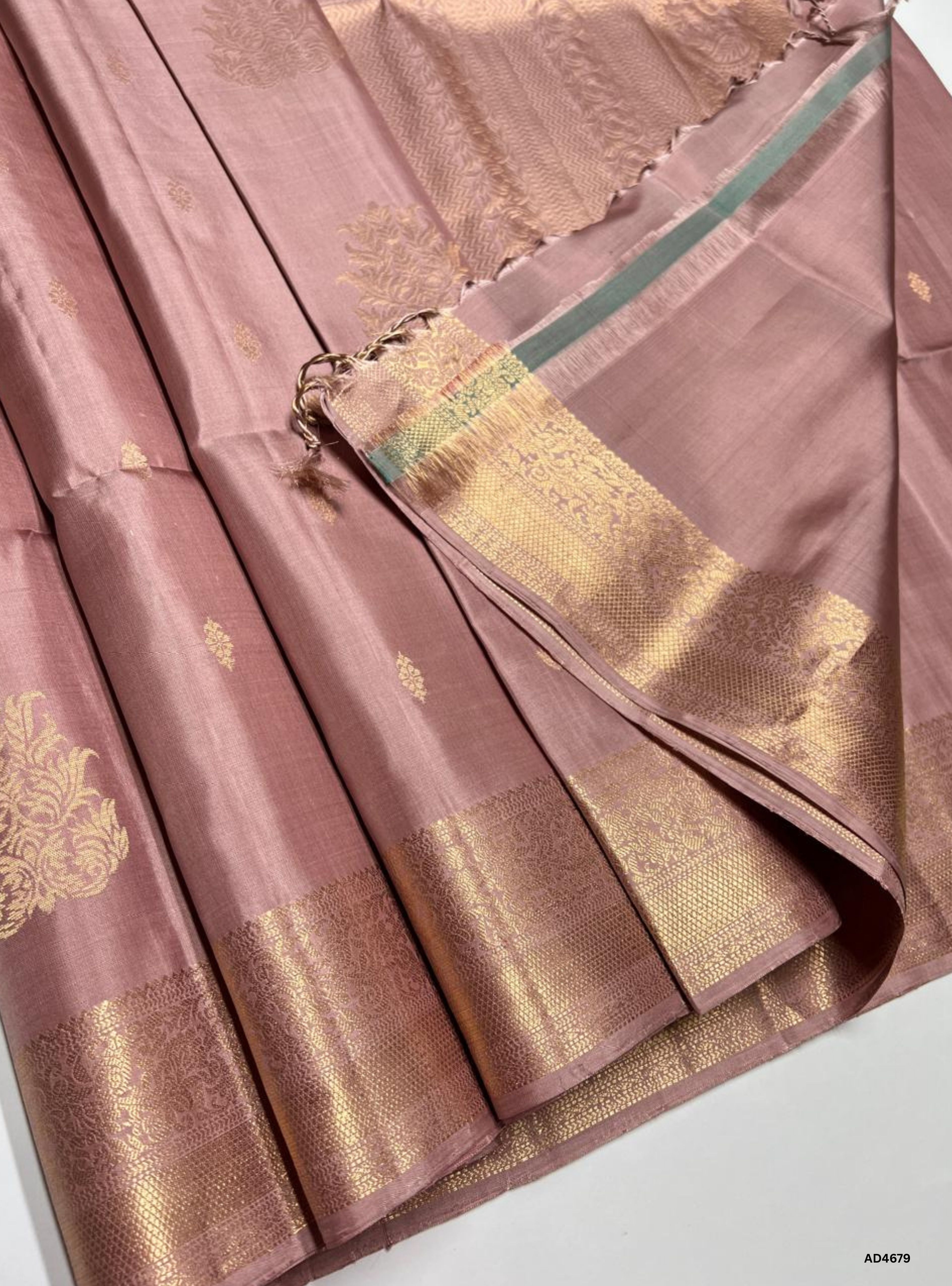 Biscuit - Kanchi Border Soft Silk Saree