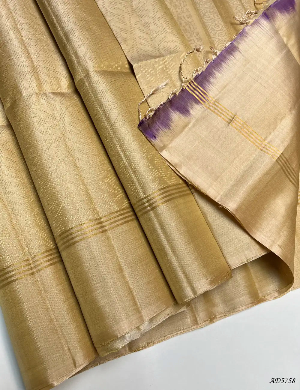Beige - Soft Silk Bridal Saree Pallu View
