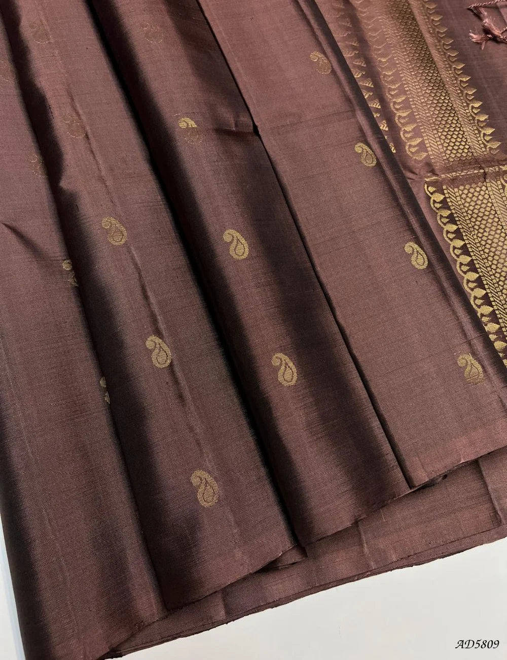 Coco Brown - Soft Silk Saree Front View