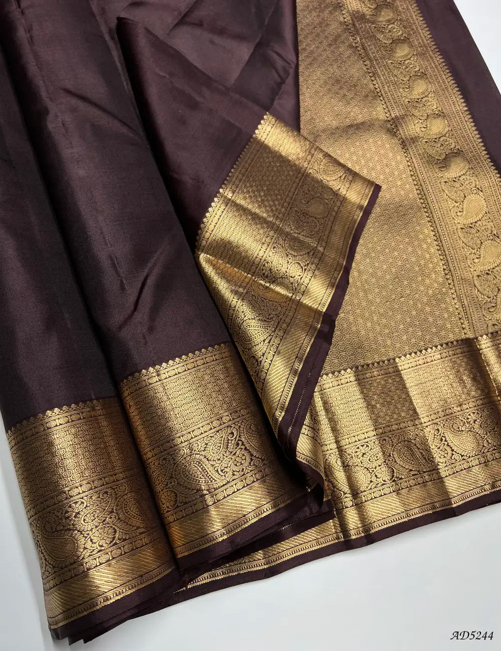 Coffee Brown - Kanchi Border Soft Silk Saree Front View