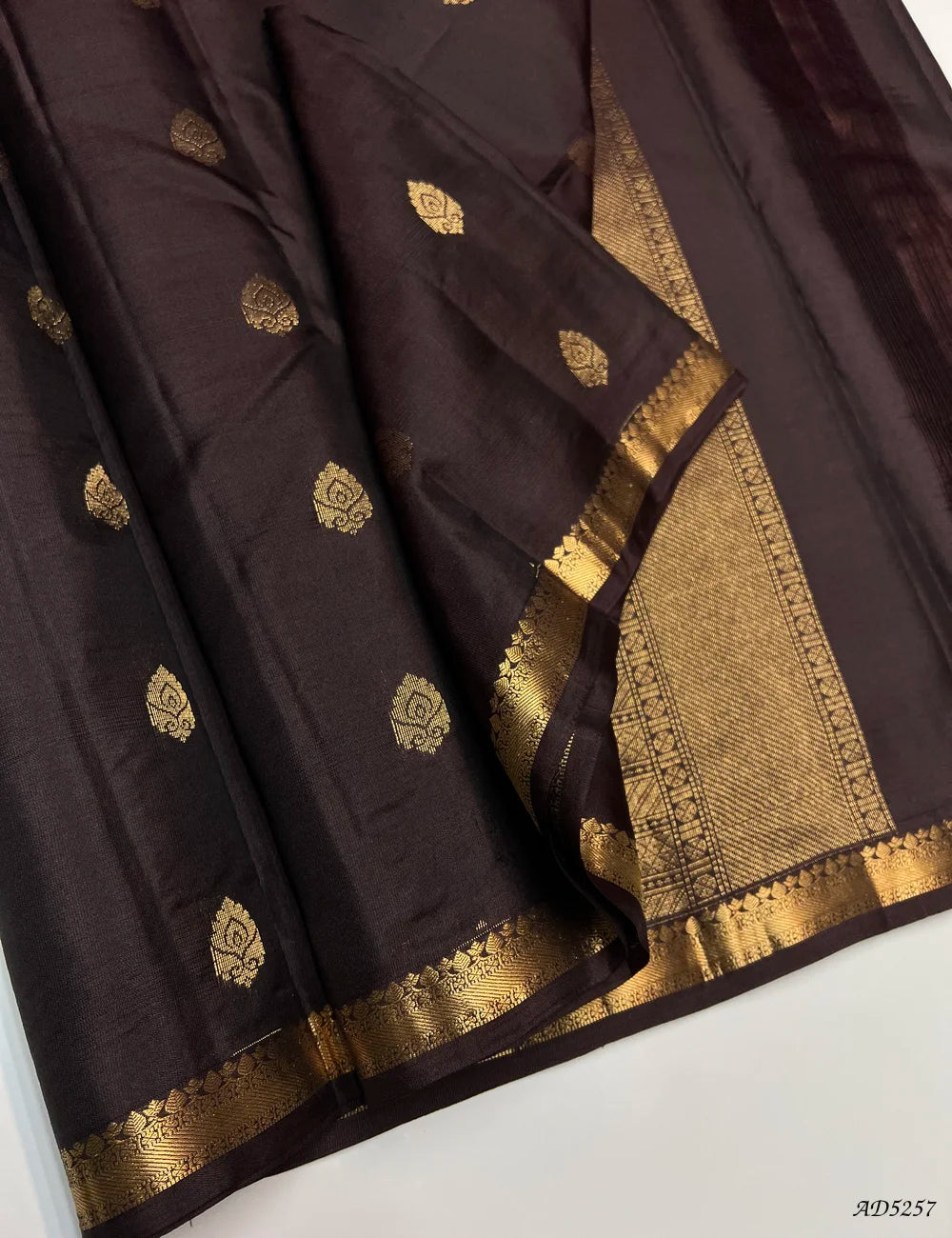 Coffee Brown - Kanchi Border Soft Silk Saree Front View