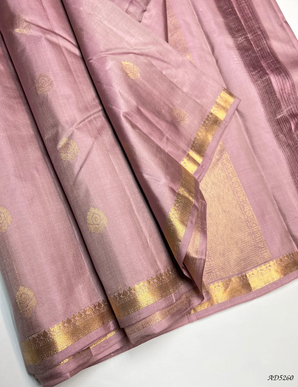 Cream - Kanchi Border Soft Silk Saree Front View