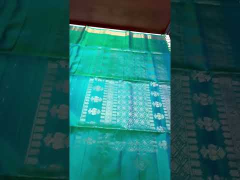 Tiffany Blue - Kanchi Border Soft Silk Saree