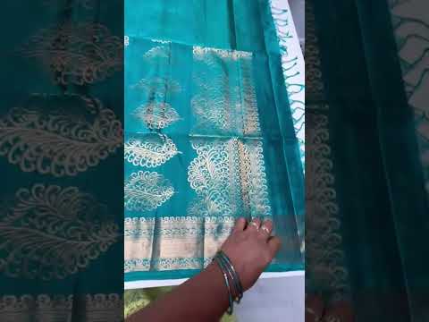 Aquva Blue - Kanchi Border Soft Silk Saree