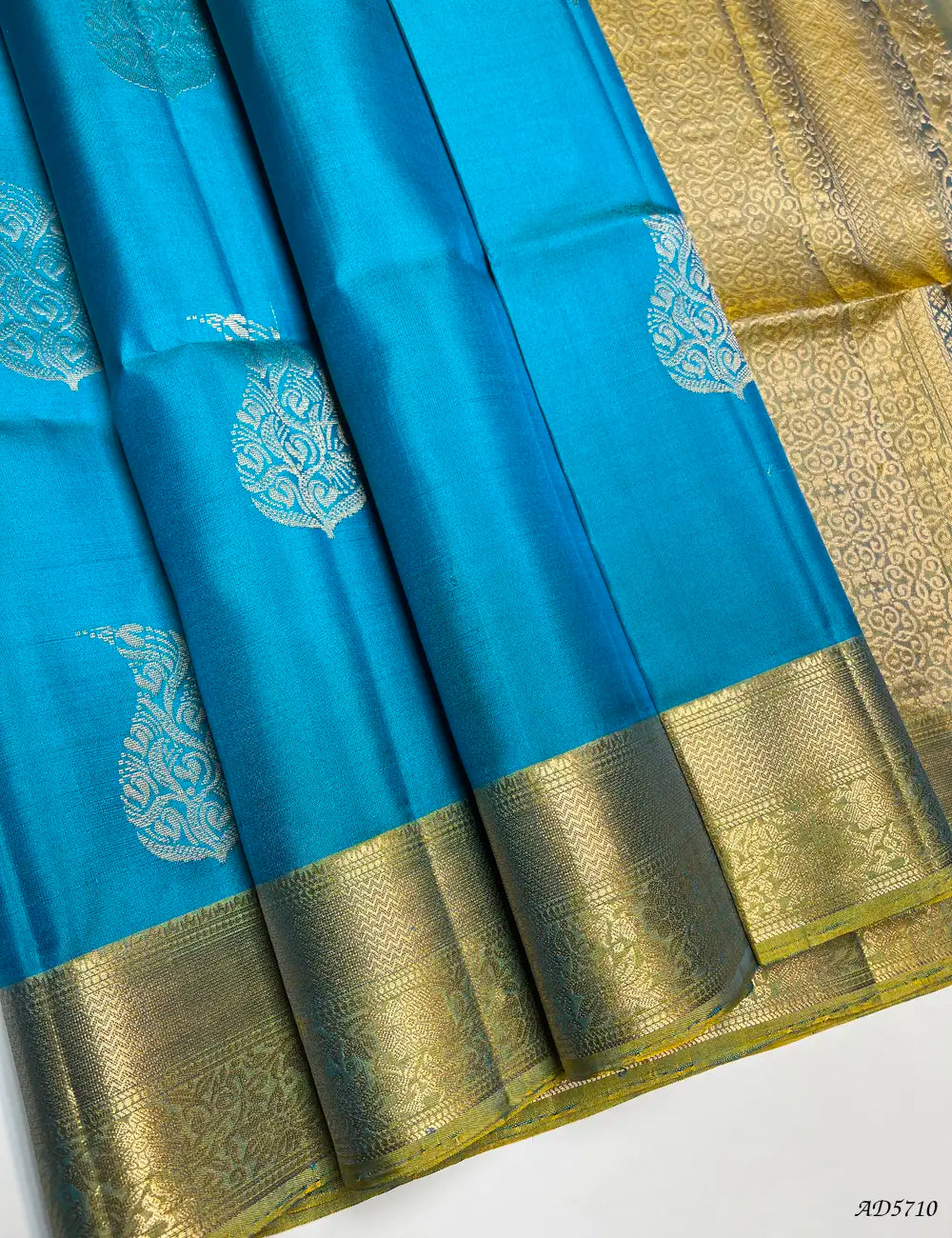Sky Blue & Golden - Kanchi Border Soft Silk Saree Front View
