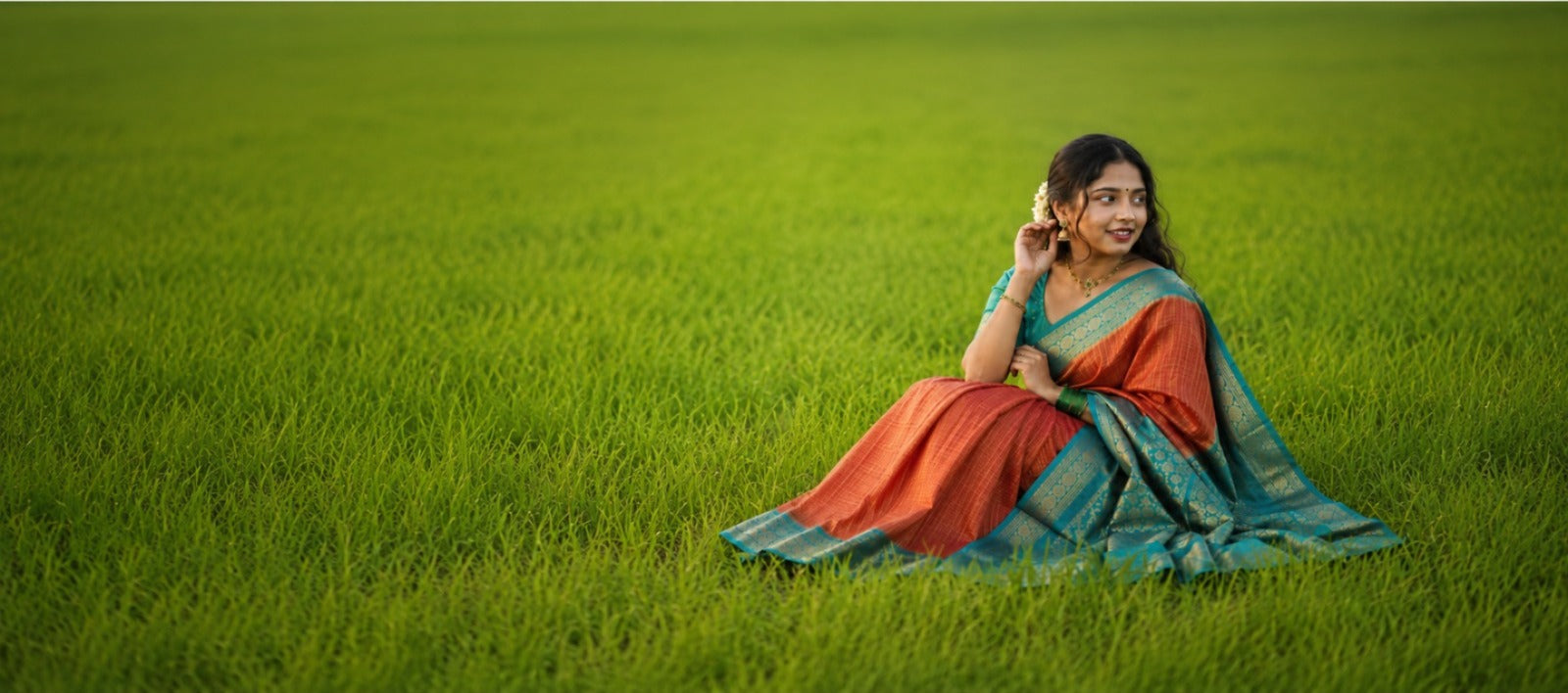 Rettapet Border saree