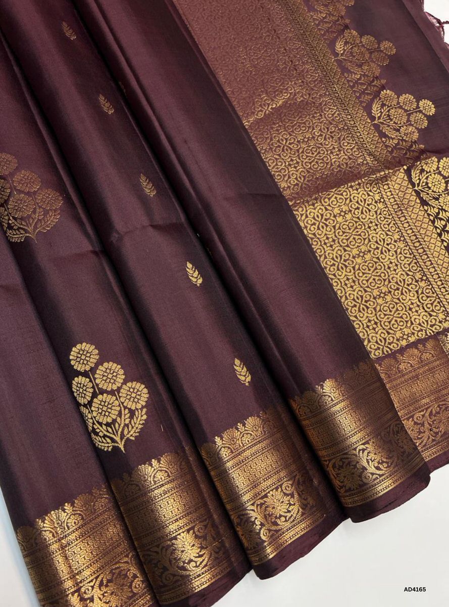 Coffee Brown - Kanchi Border Soft Silk Saree