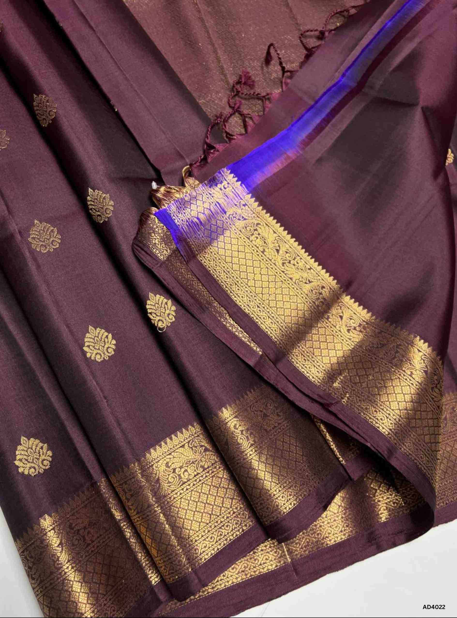 Coffee Brown - Kanchi Border Soft Silk Saree
