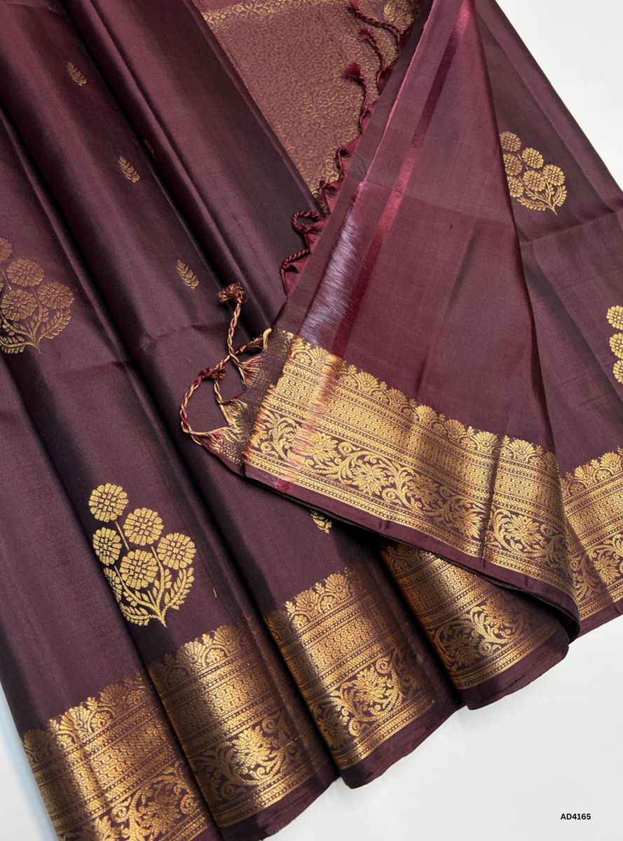 Coffee Brown - Kanchi Border Soft Silk Saree