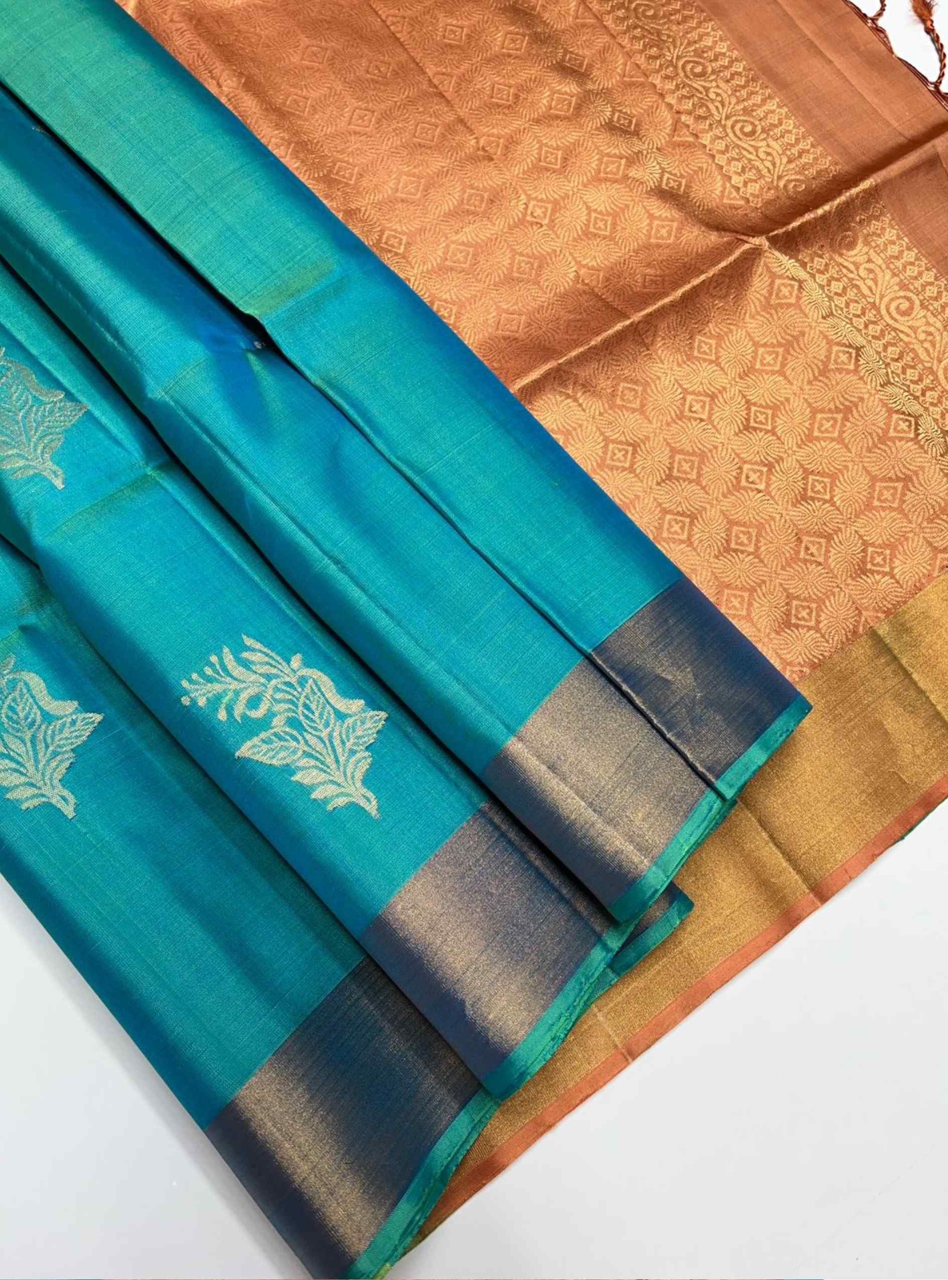 Turquoise saree with a brown border 