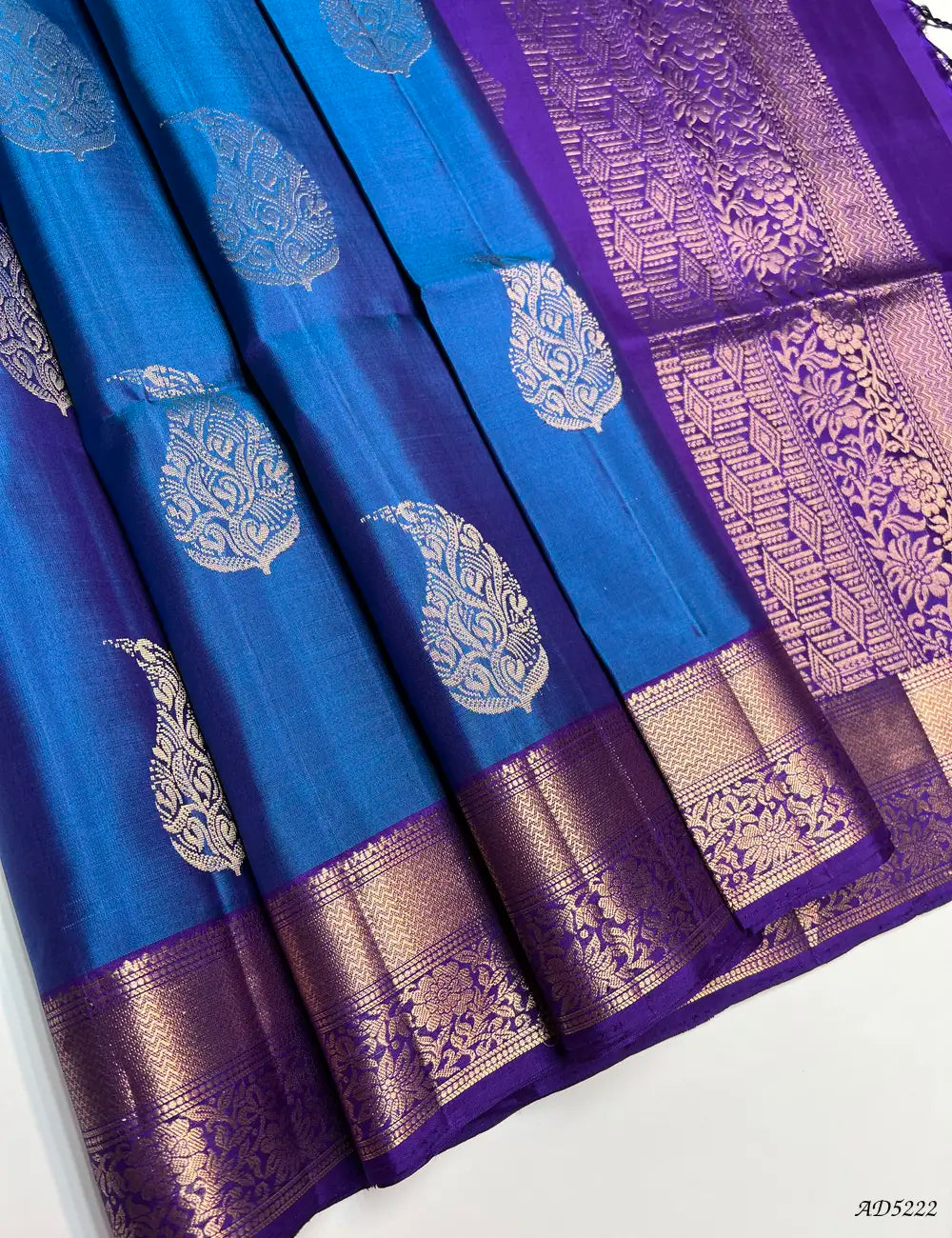 Blue & Purple - Kanchi Border Soft Silk Saree Front View