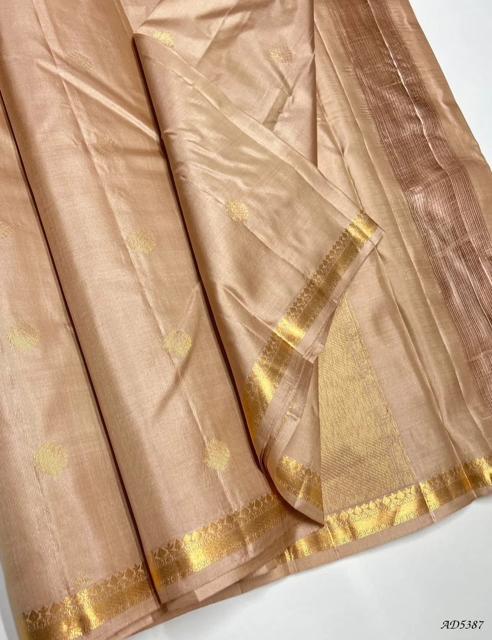 Dark Cream - Kanchi Border Soft Silk Saree Front View