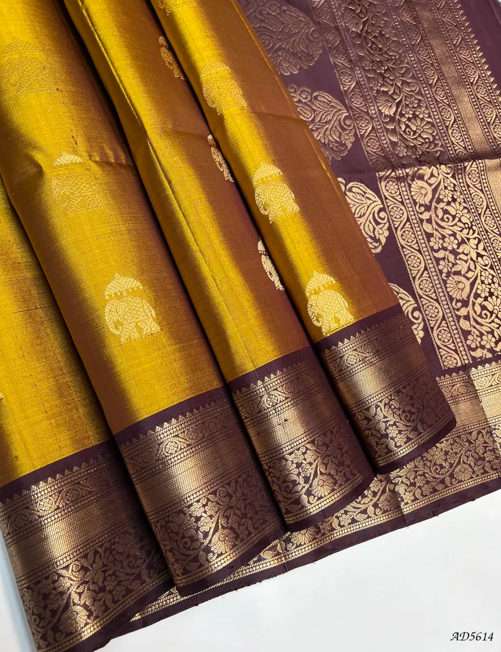 Golden & Coffee Brown - Kanchi Border Soft Silk Saree Front View