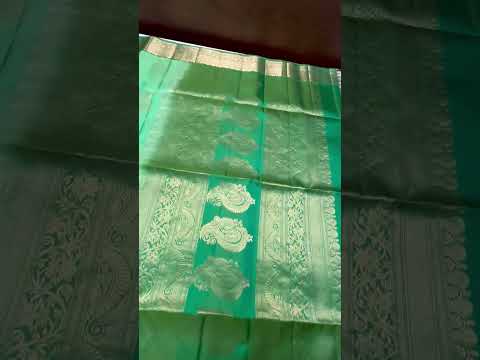 Seafoam Green & Green - Kanchi Border Soft Silk Saree