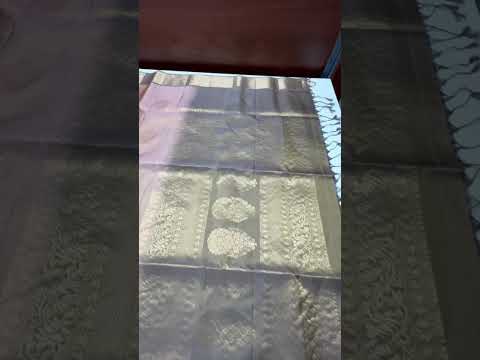 Biscuit & Hazelwood - Kanchi Border Soft Silk Saree